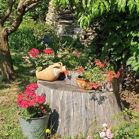 Kis Haz * Zalacsány